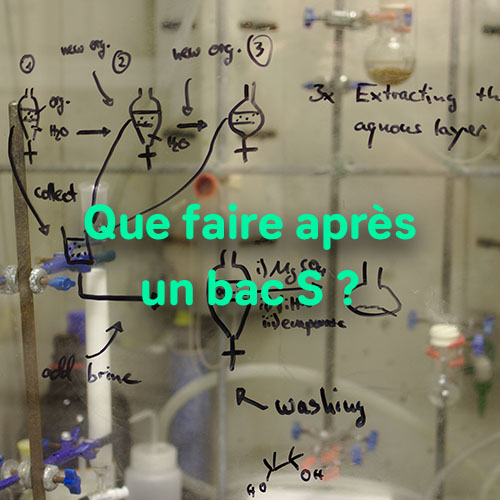 Métier Bien Payés Avec Bac Sti2d Que faire après un bac sti2d ? - WALT - We are alternants